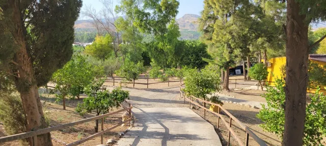 Finca de Autor con 5 Residencias Independientes y Versatilid - foto 5