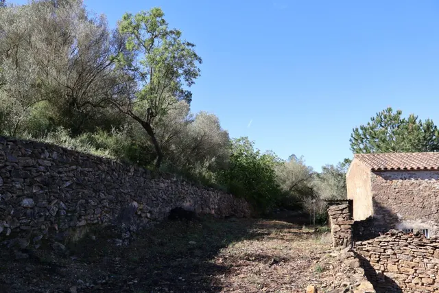 MASIA EN VILAFAMES CON TERRENO — 42