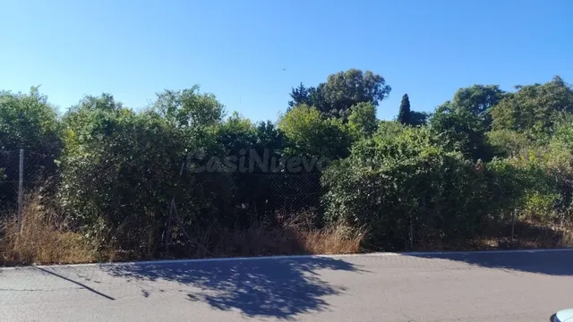 Parcela en Venta en Murcia Murcia - foto 5