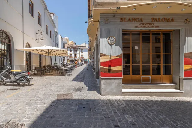 VENTA DE CÉNTRICO PISO CON LICENCIA TURÍSTICA - GRANADA — 47