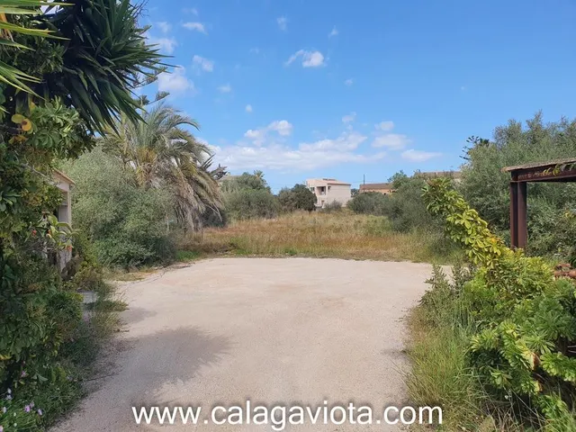 Bonito solar en zona tranquila de Ses Salines - foto 3