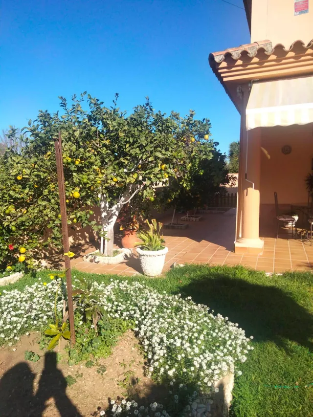 Chalet 4 habitaciones 196m² en venta - El campito — 11