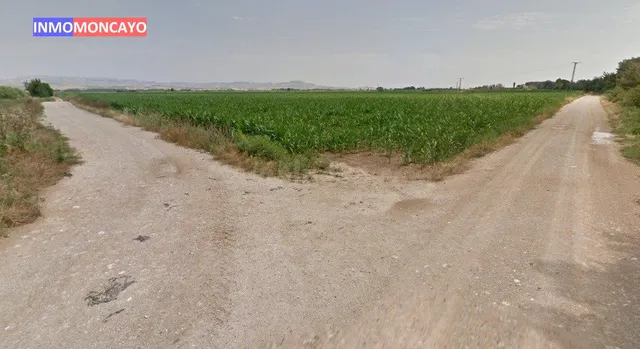SE VENDE O ALQUILA TERRENO DE REGADÍO EN RIBAFORADA - foto 2