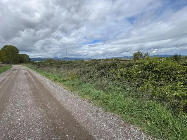 SE VENDE 8.800 M2 DE TERRENO RUSTICO EN CARRACEDELO - foto 5
