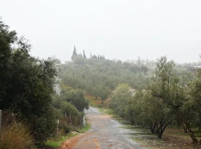 Finca rústica en Peligros – Excelente ubicación y acceso — 17