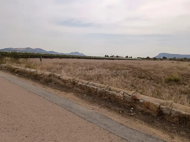 VENTA DE PARCELA EN LA ROMANA (ALICANTE) - foto 3