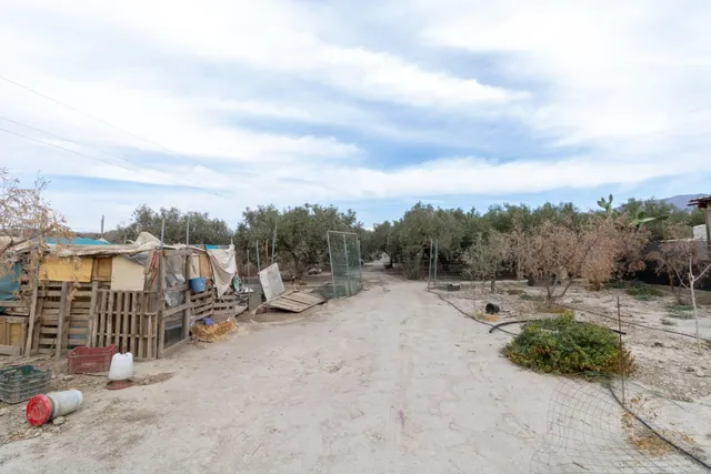 TERRENO EN PECHINA- CAMINO MARIANO — 14