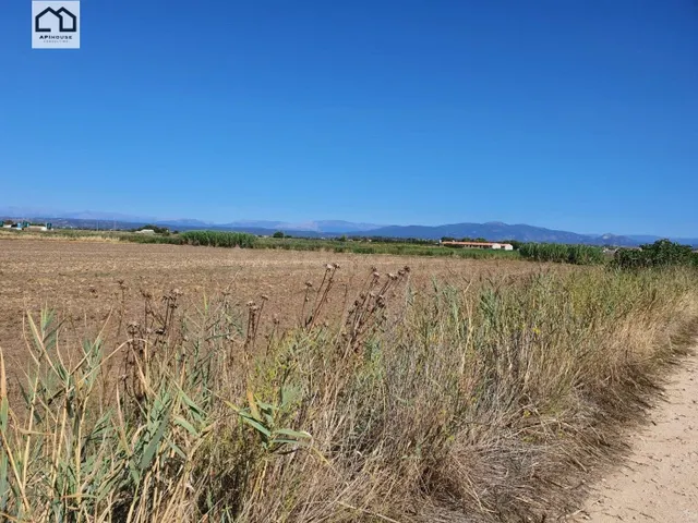 APIHOUSE VENDE FINCA DE REGADIO EN LA VEGA DEL RIO TAJO. PRE - foto 4