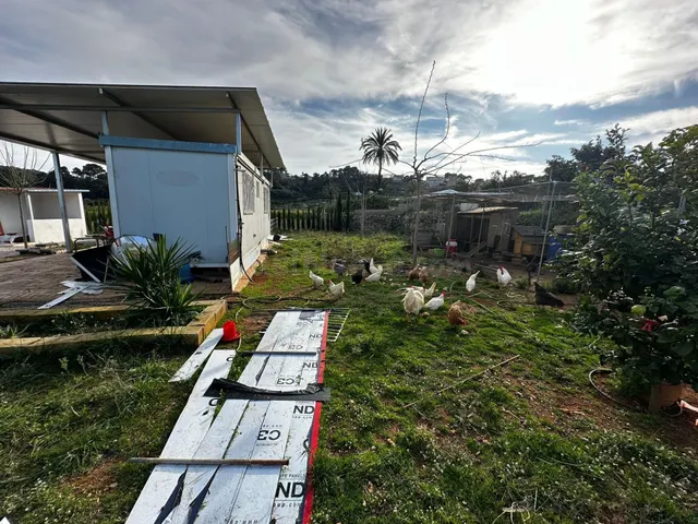 Se vende terreno rustico de 2441m2 todo vallado con movil ho - foto 5