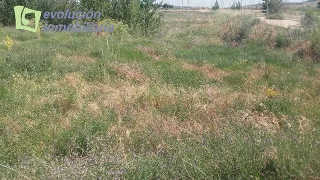 TERRENO URBANO EN VILLIMAR - foto 5
