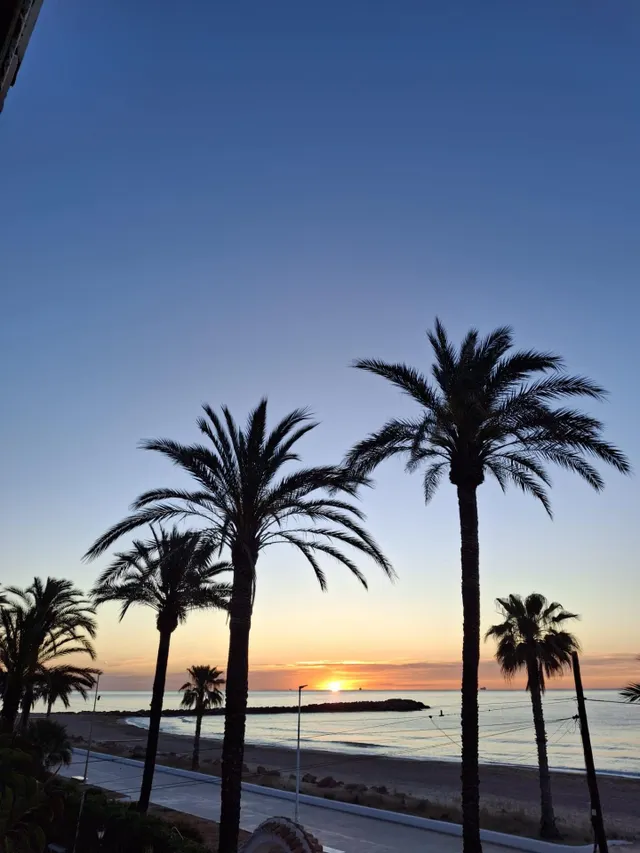 Excepcional villa en primera línea del Mediterráneo, a 15 minutos de Valencia — 7