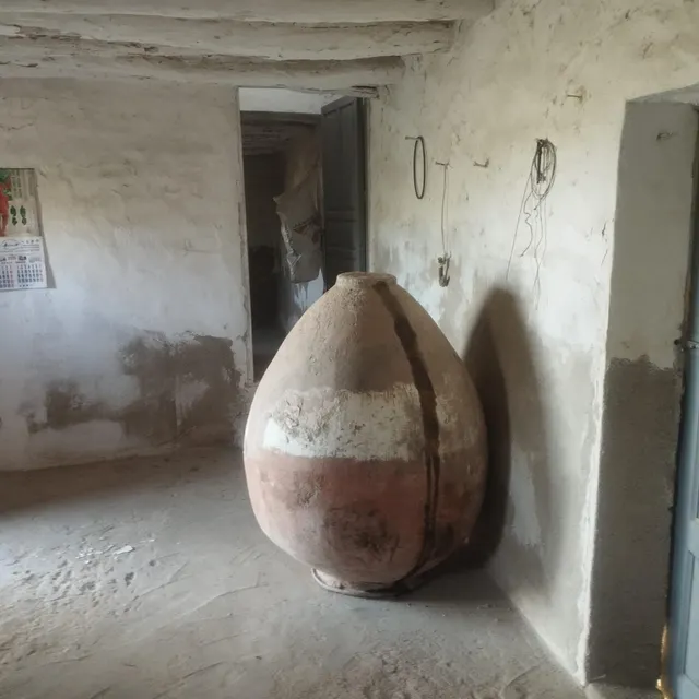 LÚCAR( ALMERÍA ). VENTA DE CORTIJO CON TERRENO. — 26