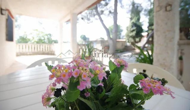 Ref. 04405.- EXCLUSIVA.- Chalet independiente con piscina en Urb. Camp Llíria. — 3