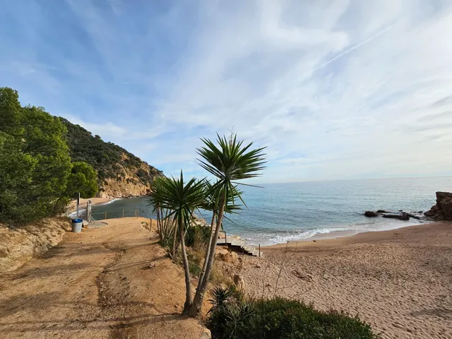 Lote de Parcelas en ROSAMAR - foto 2