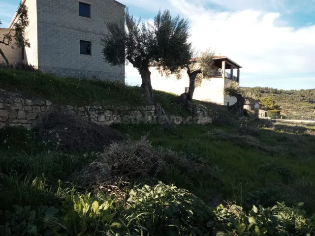 Solar en venta - Lledó - foto 3