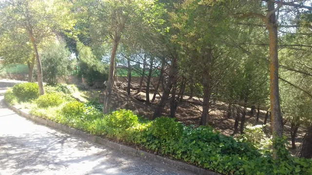 Parcela urbana de esquina en el centro de Loranca de Tajuña — 17