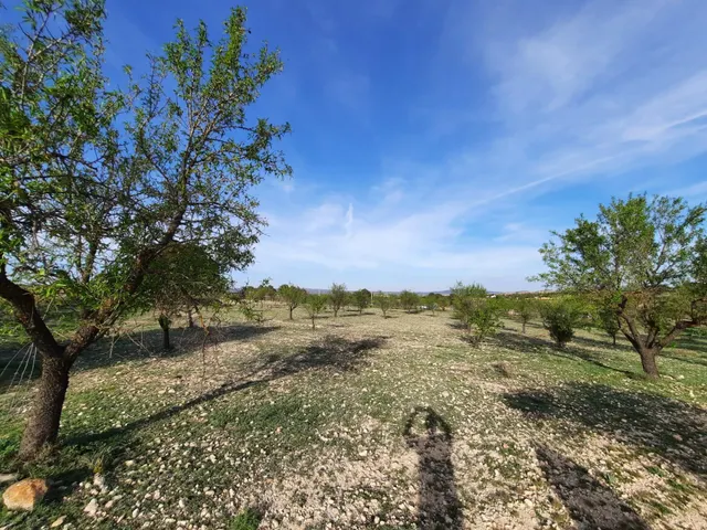 TERRENO PARA SU CASA DE CAMPO EN CANTO BLANCO — 3