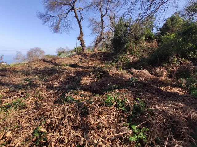 TERRENO EN LA OROTAVA, AGUAMANSA — 5