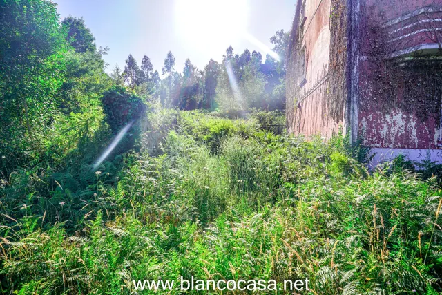 ¡¡CASA + FINCA de 9916 M2 + HÓRREO para REFORMAR por 68.990 €!! — 5