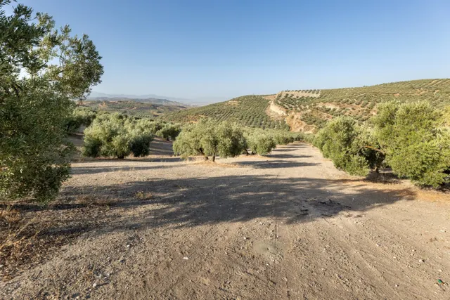 Terreno rural en venta - Alfacar — 25