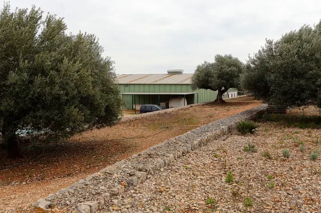 HELIPUERTO EN VENTA EQUIPADO Y CON VIVIENDA EN AMPOSTA, CONEXIÓN CON A7 Y N340 — 17