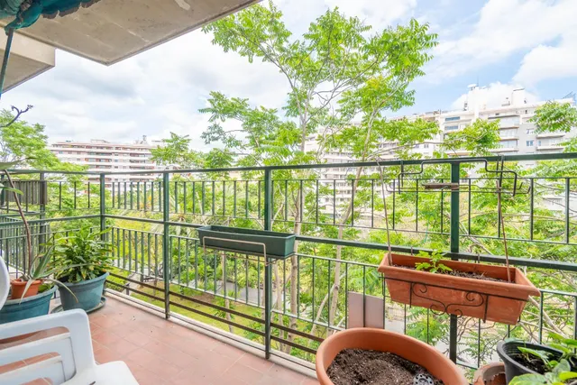 Amplio piso señorial de 196 m2 en Paseo Mallorca - foto 4