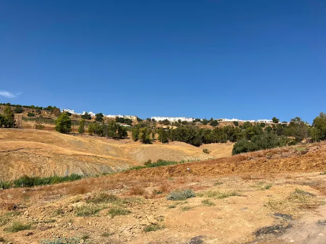 Venta de finca rústica en Carmona (Sevilla) — 7