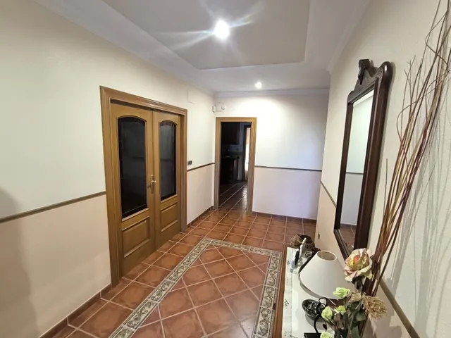 Villa 5 habitaciones 320m² en venta - Ayuntamiento — 17