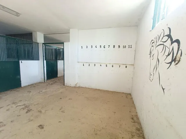 Finca rústica 6 habitaciones 803m² en venta - South of spain - foto 3