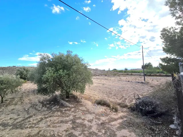 ¡Bienvenido al encanto rural de Molina de Segura! — 20