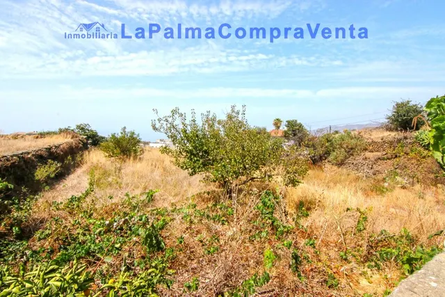 Casa-Chalet en Venta en Paso, El Santa Cruz de Tenerife — 9