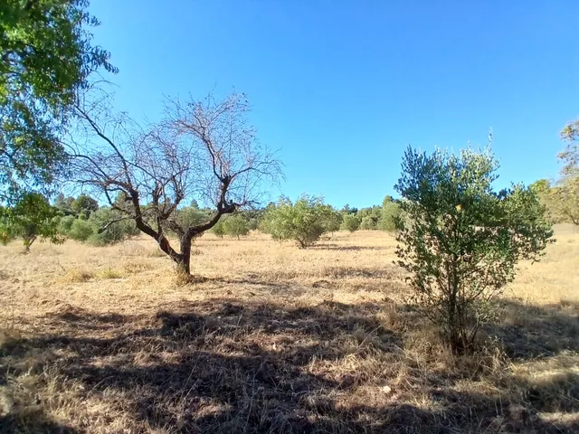 Finca rústica con maset en Arnes — 8