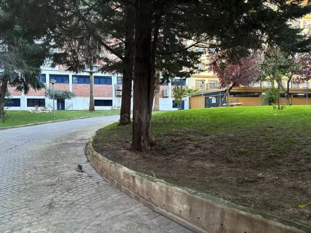 ¡¡ PLAZA DE GARAJE EN AVENIDA DE CARLOS III !! - foto 2