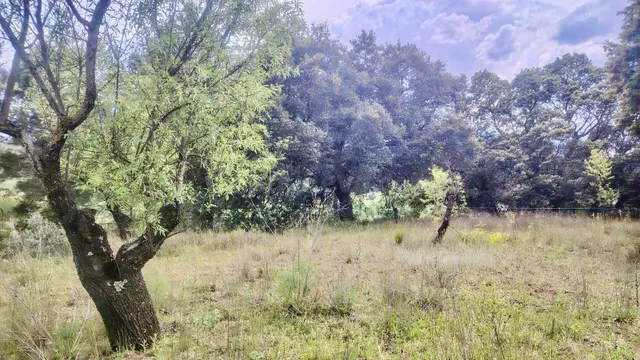 Terreno rural en venta - Castilla la mancha - foto 3