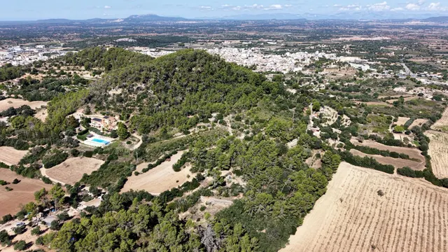 Terreno rústico de 10.000m2 en son quetlles, Felanitx — 6