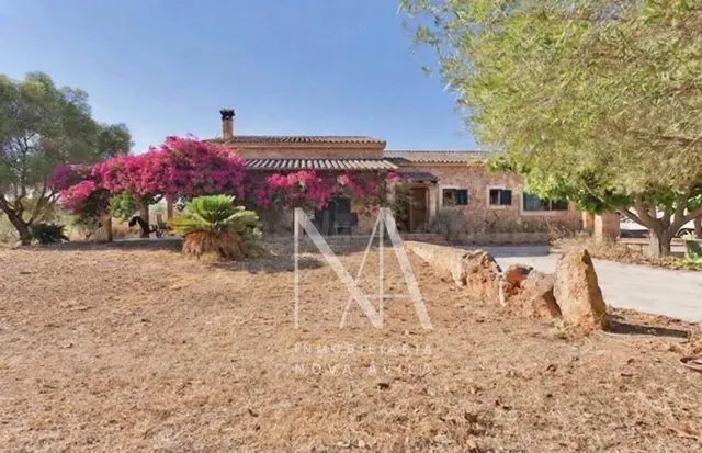 FINCA RUSTICA LLUCMAJOR - foto 2