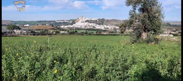 SE VENDE FINCA EN ZONA EL ROMERAL - foto 3