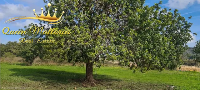 Terreno rústico en venta con excelente accesibilidad y vista - foto 3