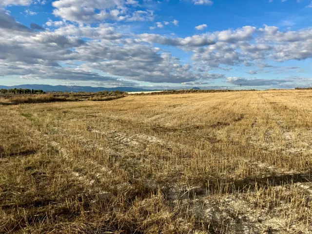 Venta de conjunto de viviendas y terrenos en Cúllar (Granada) — 38