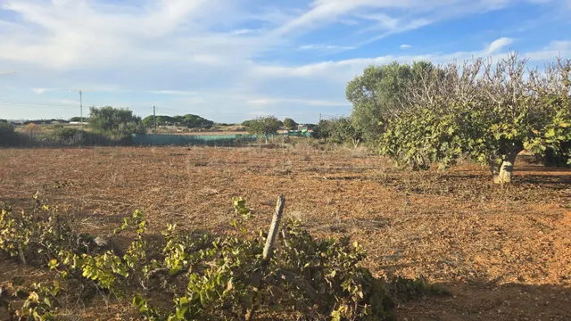 PARCELA -SEGREGADA CON REFUGIO EN ZONA PINAR DE LOS FRANCESE - foto 3