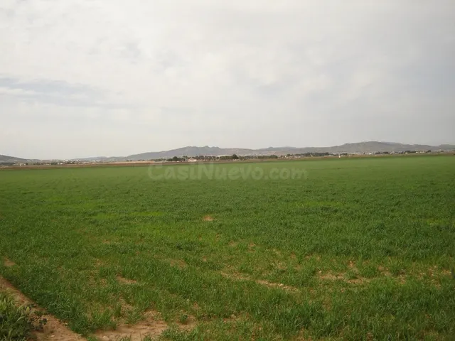 Parcela en venta - Ayuntamiento - foto 3