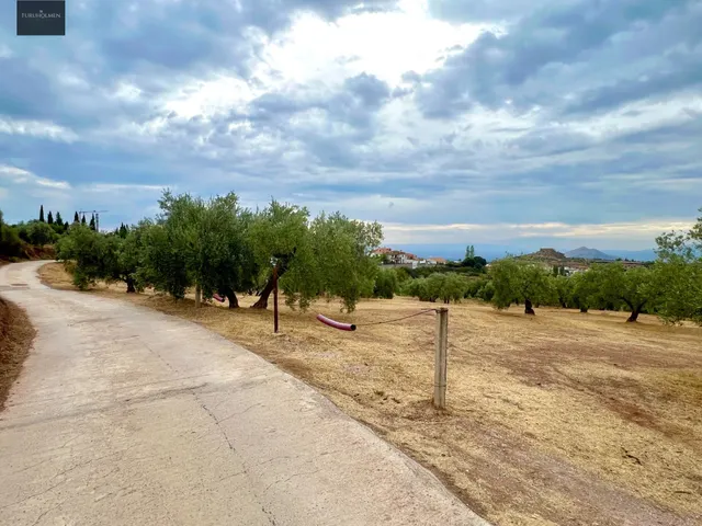 NIVAR - FINCA DE OLIVOS — 6