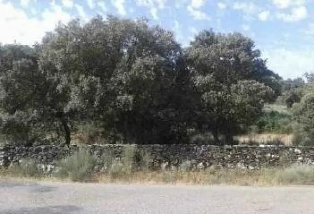 Urbis te ofrece una parcela rústica en venta en Castillejo d - foto 2