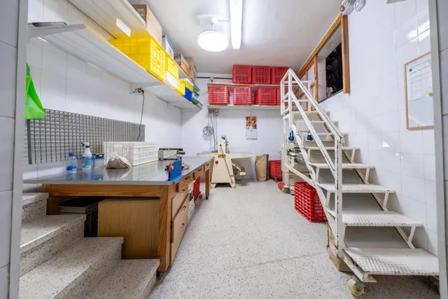 PANADERÍA HISTÓRICA CON MÁS DE 90 AÑOS DE TRAYECTORIA + VIVIENDA — 9
