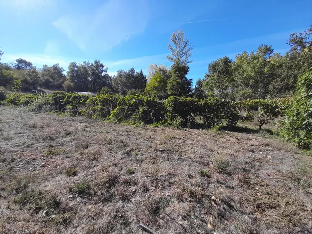 FINCA RUSTICA CON CASA DE APEROS EN CASTROPODAME — 14
