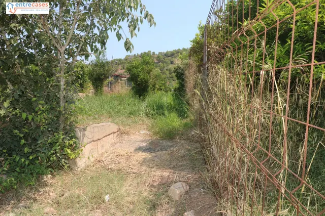 TERRENO DE 2 HANEGADAS ENTRE PETRES Y ALBALAT TARONGERS — 12