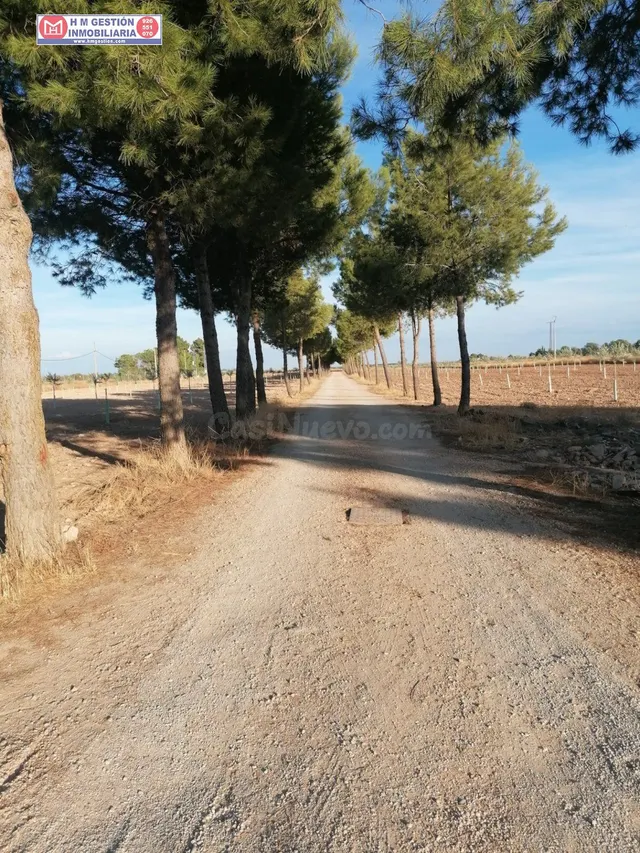 Casa en el campo sobre parcela de 30.000 metros con 400 oliv - foto 2