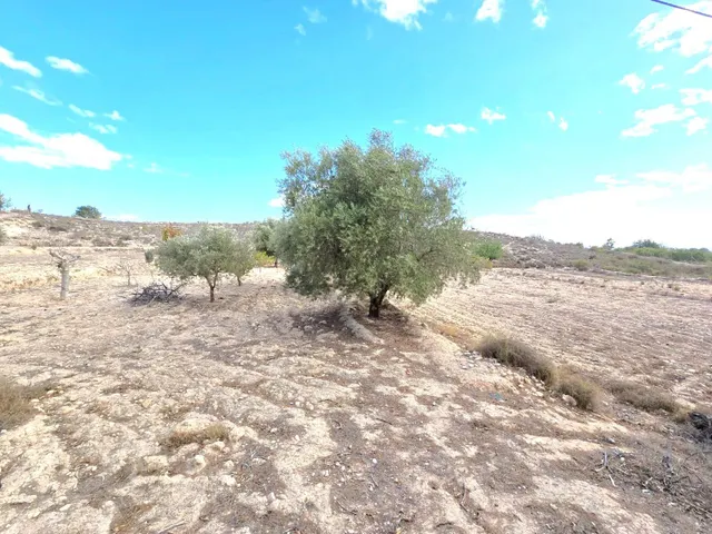 ¡Bienvenido al encanto rural de Molina de Segura! — 5