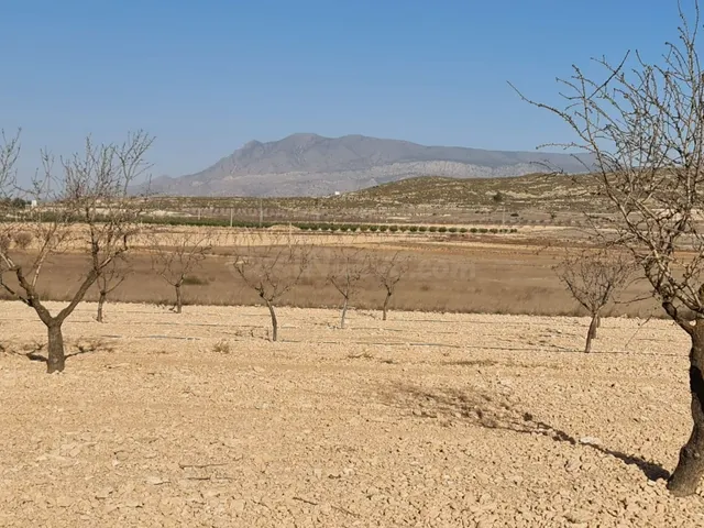 Parcela 400m² en venta - Jumilla - foto 2
