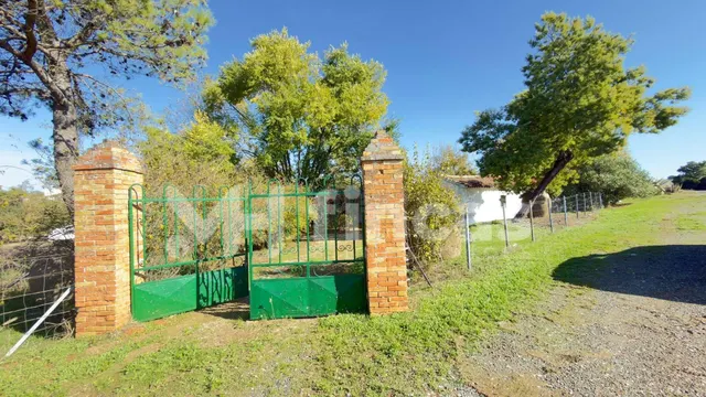 Gran Oportunidad en Cazalla: Fincas con Viviendas, Agua, Luz - foto 3